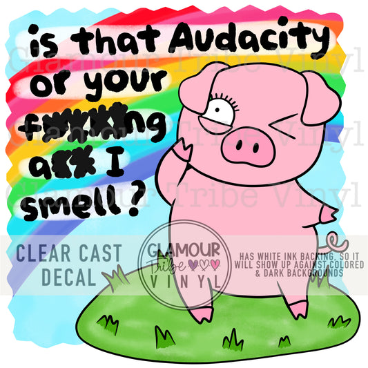 IS THAT AUDACITY OR…