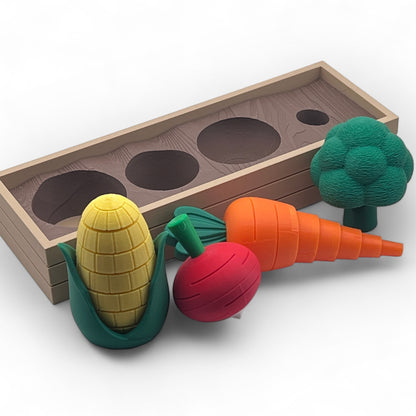 FIDGET VEGGIE GARDEN